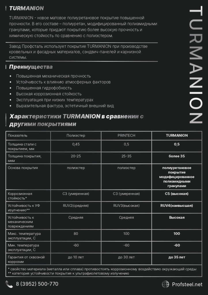 турманион_page-0002.jpg